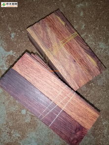 中國木材行業供應商網新聞頻道 洞察木材市場動態，引領產業綠色發展