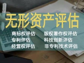 西安無形資產(chǎn)價(jià)值評估與相關(guān)服務(wù)解析